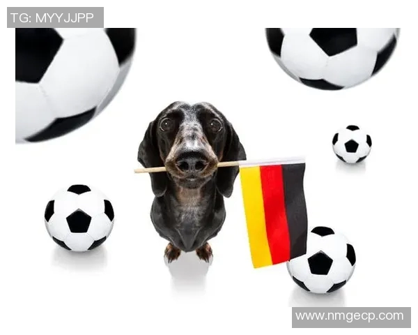 足球明星球员的狗狗名字大全 揭开球场背后的宠物故事 足球明星球员的狗狗名字大全 揭开球场背后的宠物故事