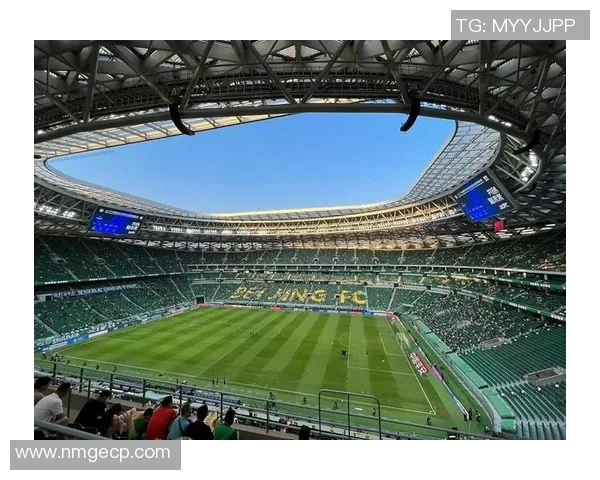 黑胖足球球星的崛起之路:从街头到绿茵场的传奇故事 黑胖足球球星的崛起之路:从街头到绿茵场的传奇故事