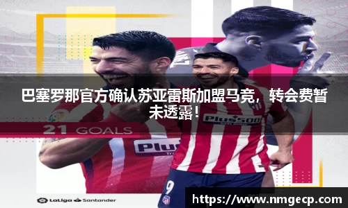欧博abg官网登录入口